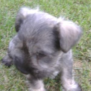 Meet your Posher, Robert